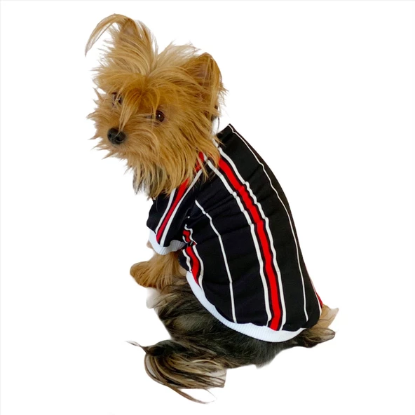 Black Red White Striped Oval Yaka Tişört Köpek Kıyafeti Köpek Elbisesi ürün görseli