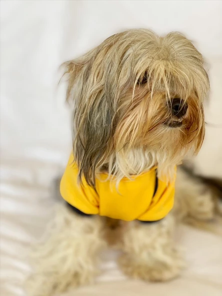 Yellow Modern Native Kapşonlu Sweat by Kemique Köpek Kazağı - 5