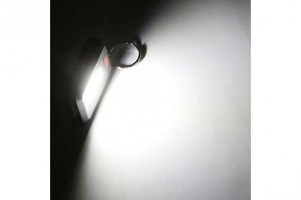 Ortam Aydınlatan 350 Lümen Anahtarlık - Resim 3