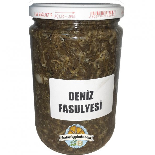 Hatay kapında-Deniz Fasulyesi-720GR