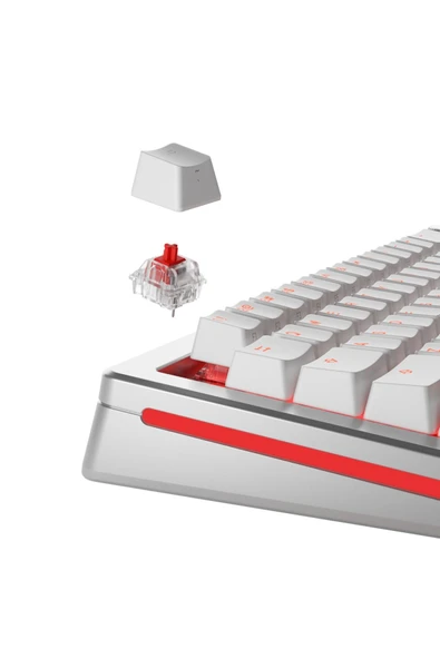 Glorious Fox Mekanik Yağlı Klavye Switch 110 Adet - 2