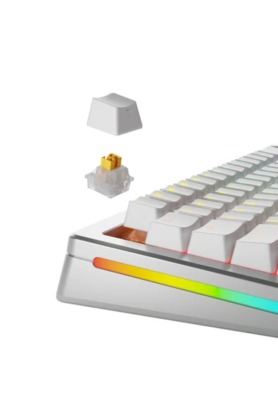 Glorious Panda Hall Effect Sessiz Mekanik Klavye Switch 36 Adet - 2