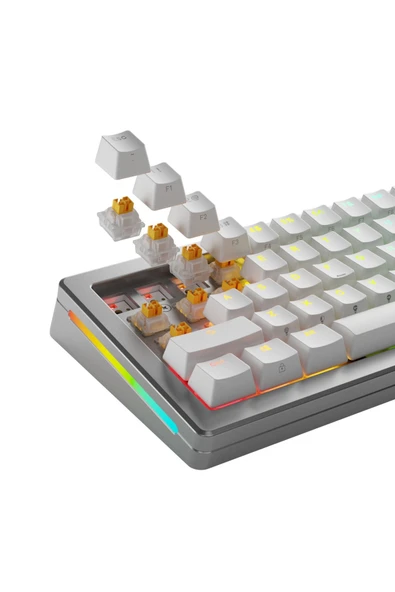 Glorious Panda Hall Effect Sessiz Mekanik Klavye Switch 36 Adet - 5