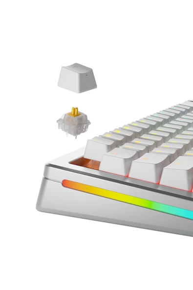 Glorious Panda Sessiz Mekanik Yağlı Klavye Switch 36 Adet - 2