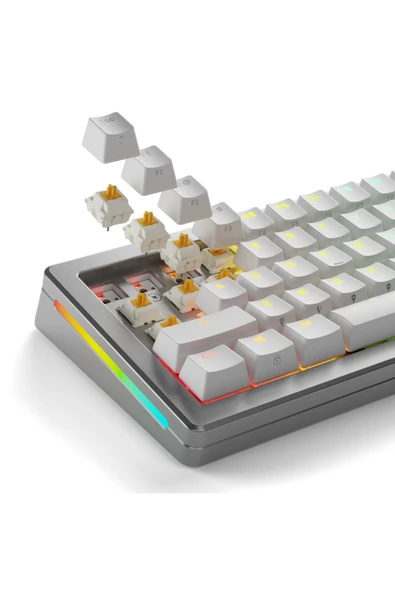Glorious Panda Sessiz Mekanik Yağlı Klavye Switch 36 Adet - 5