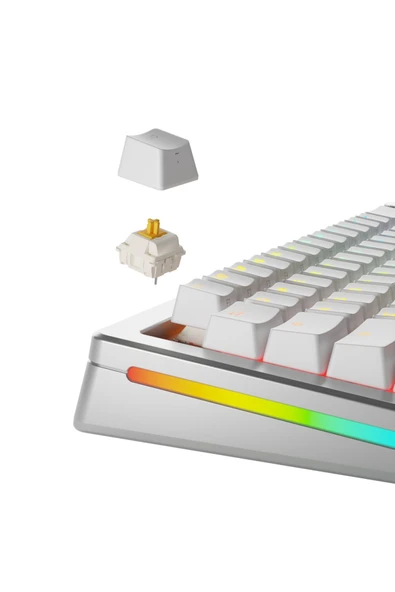 Glorious Panda Standart Yağlı Klavye Switch 36 Adet - 2