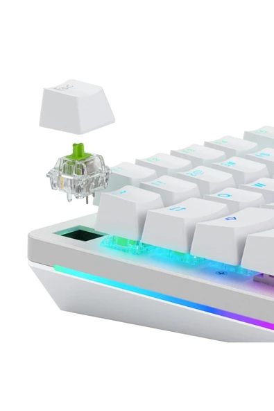 Glorious Raptor Standart Yağlı Klavye Switch 36 Adet - 2