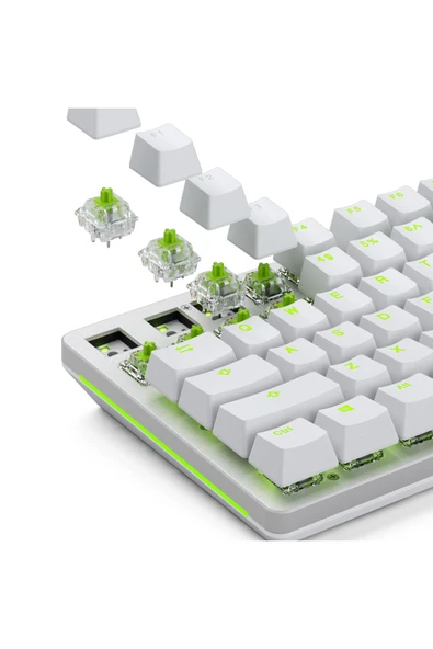Glorious Raptor Standart Yağlı Klavye Switch 36 Adet - 5