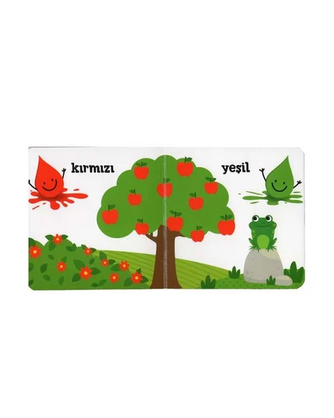 Eolo Minik Kitaplar Renkler - Resim 3