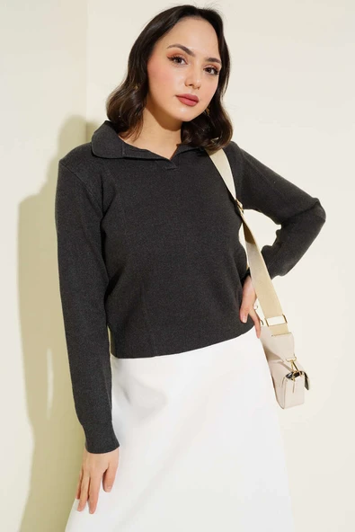 Gömlek Yaka Kısa Triko Kazak Füme - 2