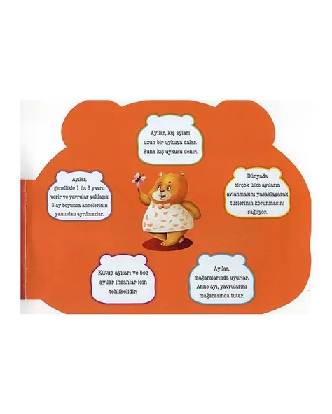 Şekilli Hayvanlar Serisi - Ayı Parıltı Yayınları - Resim 3