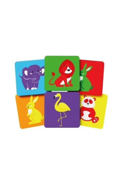 Redka Zeki Hayvanlar - Resim 2