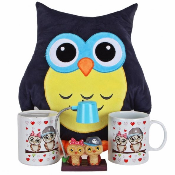 Baykuş Yastık Best Friends Işıklı Biblo Baykuş Kupa Kumbara Arkadaşa Hediye Seti - 1