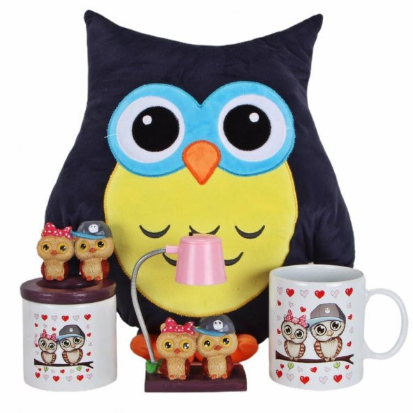 Baykuş Yastık Best Friends Işıklı Biblo Baykuş Kalemlik Kupa Sevgiliye Hediye Seti - 1