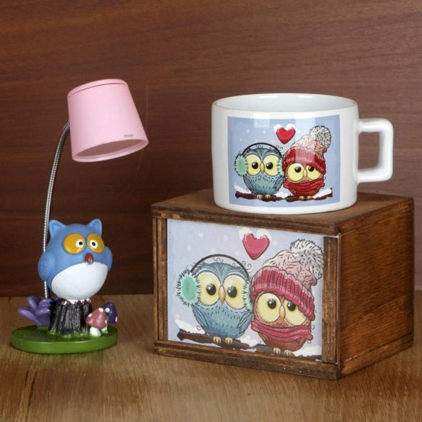 Best Frends Aşık Baykuş Kutulu Kupa Pembe Lambalı Mavi Baykuş Işıklı Biblo Seti