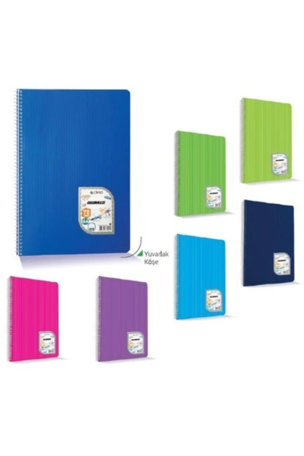 Çınar Colormaxi A4 Spiralli Plastik Kapak Defter 40 Yaprak Çizgili (12 Li Paket)