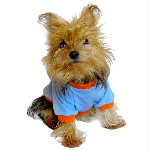 Ponçik Oval Yaka Tişört Köpek Kıyafeti Köpek Elbisesi - 6