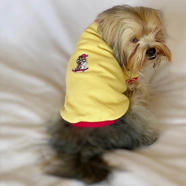 Kaykay Oval Yaka Tişört Köpek Kıyafeti Köpek Elbisesi - Resim 2
