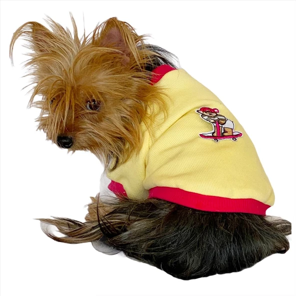 Kaykay Oval Yaka Tişört Köpek Kıyafeti Köpek Elbisesi ürün görseli