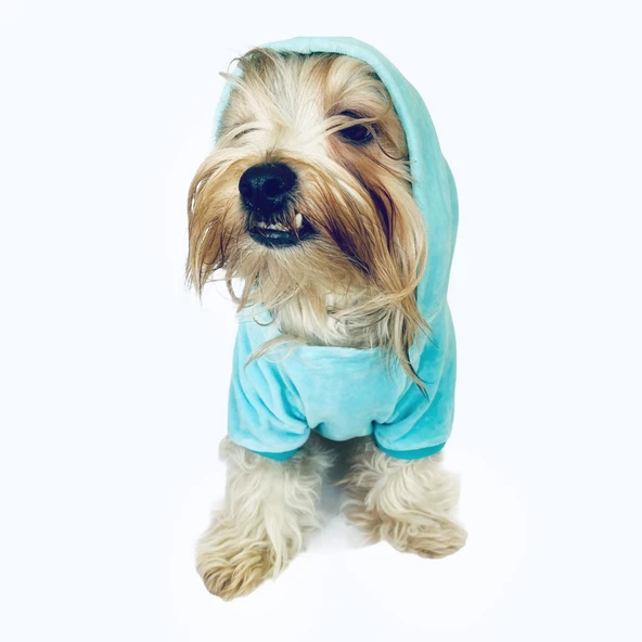 Blue Bear Kapşonlu Sweat by Kemique Köpek Kazağı - 5