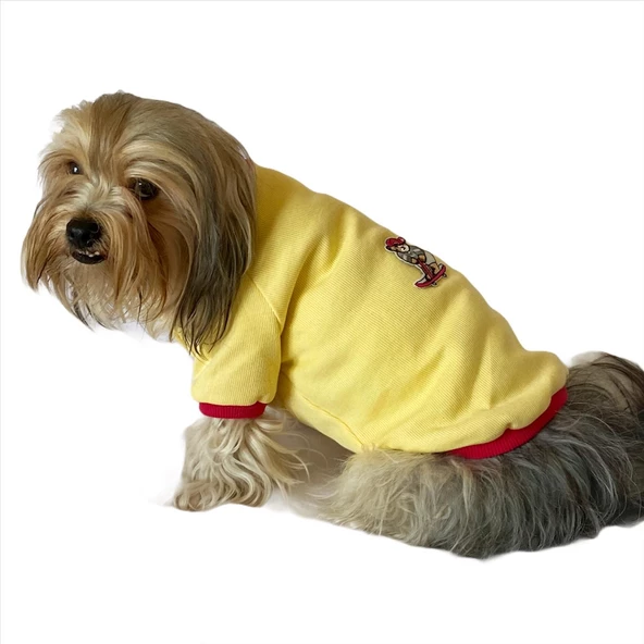 Kaykay Oval Yaka Tişört Köpek Kıyafeti Köpek Elbisesi - Resim 3