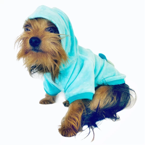 Blue Bear Kapşonlu Sweat by Kemique Köpek Kazağı - 3