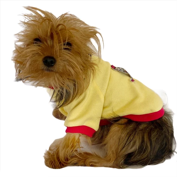 Kaykay Oval Yaka Tişört Köpek Kıyafeti Köpek Elbisesi - Resim 6