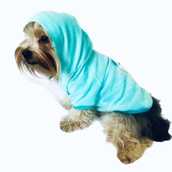 Blue Bear Kapşonlu Sweat by Kemique Köpek Kazağı - 4