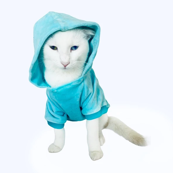 Blue Bear Sweatshirt Kedi Süeteri Kedi Kıyafeti - 5