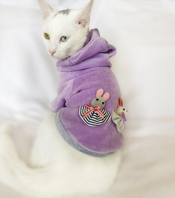 Bunny Baby Sweatshirt Kedi Süeteri Kedi Kıyafeti