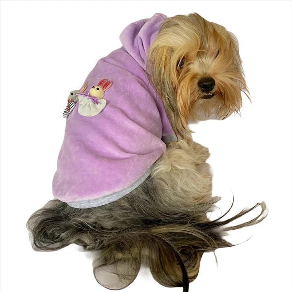 Bunny Baby Kapşonlu Sweat by Kemique Köpek Kazağı - 3