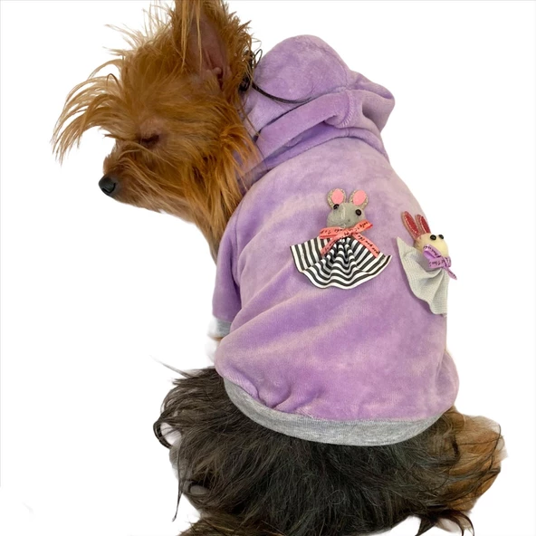 Bunny Baby Kapşonlu Sweat by Kemique Köpek Kazağı - 2