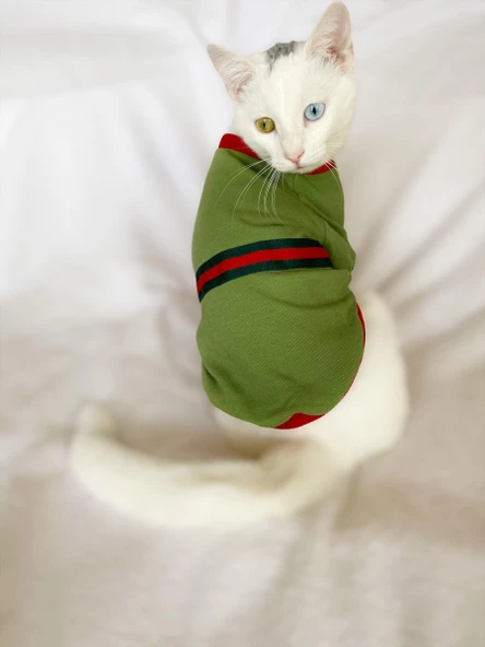 GC Max Oval Yaka Tişört Kedi Kıyafeti Kedi Elbisesi - 8