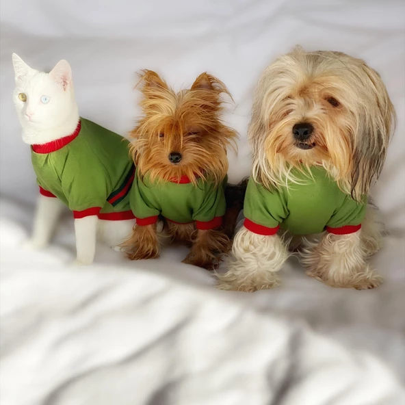 GC Max Oval Yaka Tişört Kedi Kıyafeti Kedi Elbisesi - 7