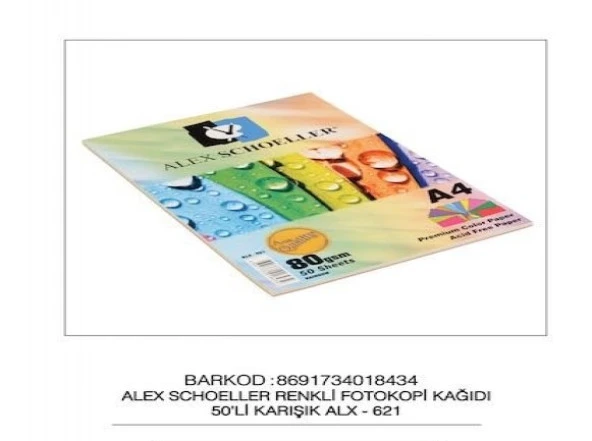 ALEX SCHOELLER 50 Lİ KARIŞIK RENK FOTOKOPİ KAĞIDI A4 ALX-621