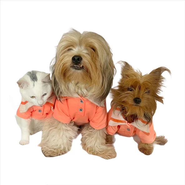 Salmon Flash Polo Yaka Tişört Köpek Kıyafeti Köpek Elbisesi - 7