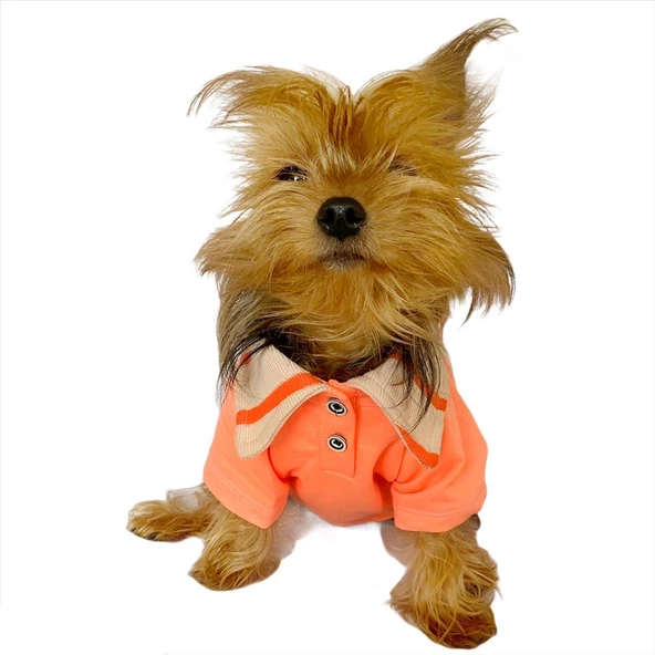 Salmon Flash Polo Yaka Tişört Köpek Kıyafeti Köpek Elbisesi - 9