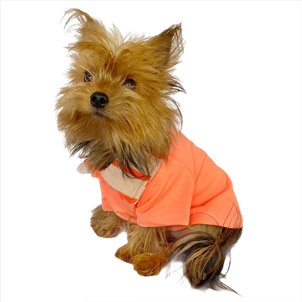 Salmon Flash Polo Yaka Tişört Köpek Kıyafeti Köpek Elbisesi - 6