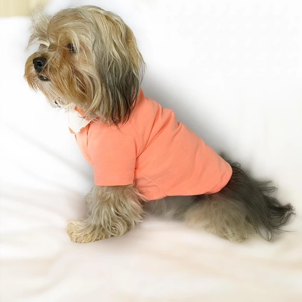 Salmon Flash Polo Yaka Tişört Köpek Kıyafeti Köpek Elbisesi - 8