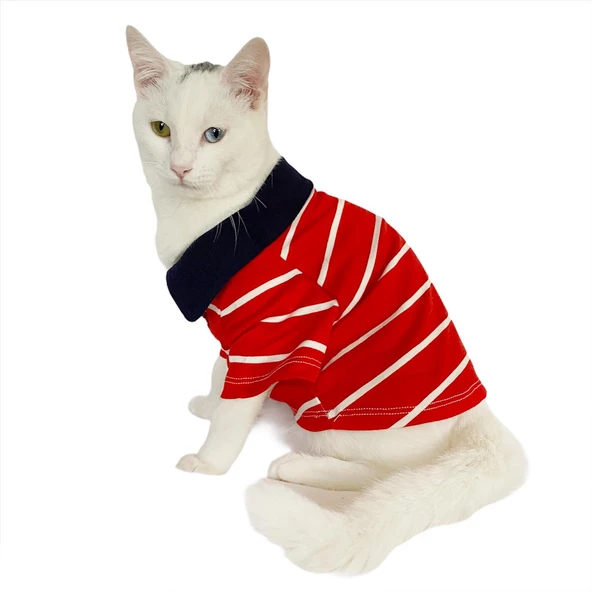 Red Stripe Elegance Polo Yaka Tişört Kedi Kıyafeti  Kedi Elbisesi