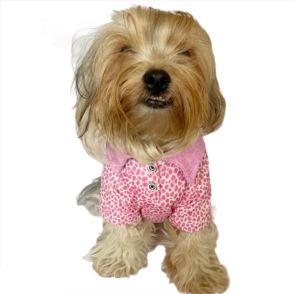 Pink Leo Cutie Polo Yaka Tişört Köpek Kıyafeti Köpek Elbisesi - 2