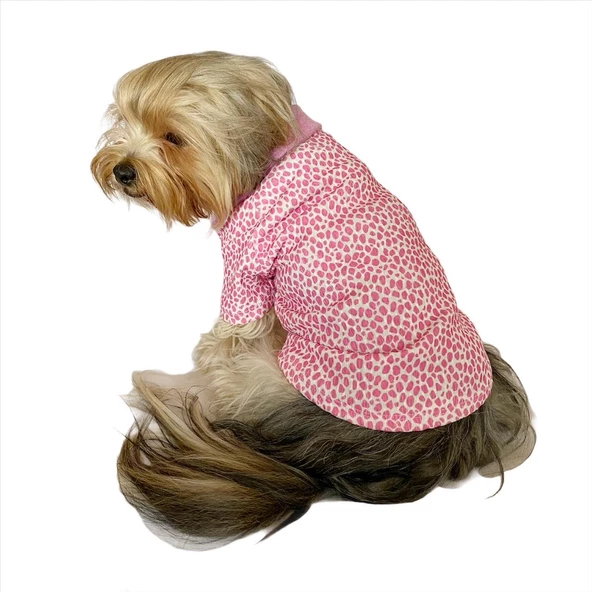 Pink Leo Cutie Polo Yaka Tişört Köpek Kıyafeti Köpek Elbisesi - 8