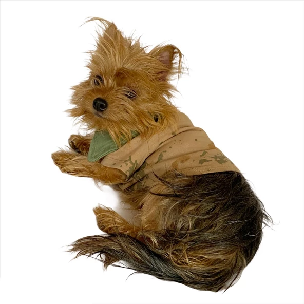 Komando Polo Yaka Tişört Köpek Kıyafeti Köpek Elbisesi - 9