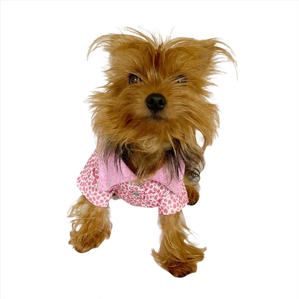 Pink Leo Cutie Polo Yaka Tişört Köpek Kıyafeti Köpek Elbisesi - 7