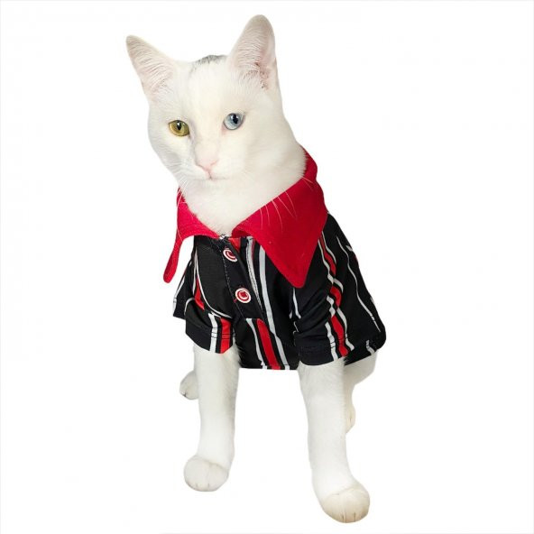 Red Black White Striped Polo Yaka Tişört Kedi Kıyafeti  Kedi Elbisesi