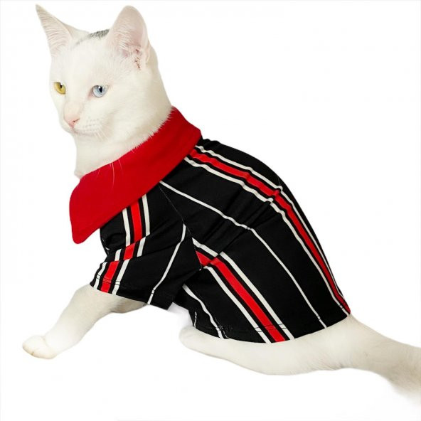 Red Black White Striped Polo Yaka Tişört Kedi Kıyafeti  Kedi Elbisesi - 3