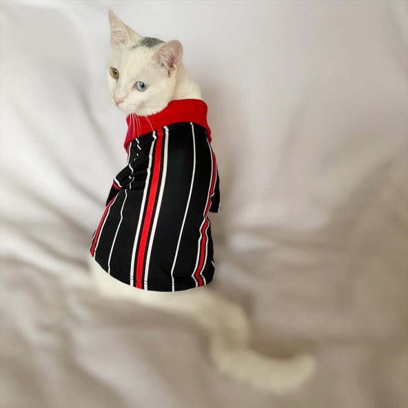Red Black White Striped Polo Yaka Tişört Kedi Kıyafeti  Kedi Elbisesi - 5