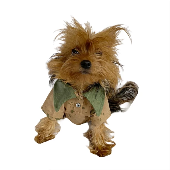 Komando Polo Yaka Tişört Köpek Kıyafeti Köpek Elbisesi - 6