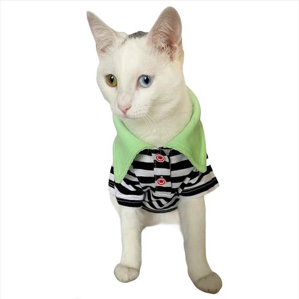 Grass Hopper Stripe Polo Yaka Tişört Kedi Kıyafeti  Kedi Elbisesi - 2