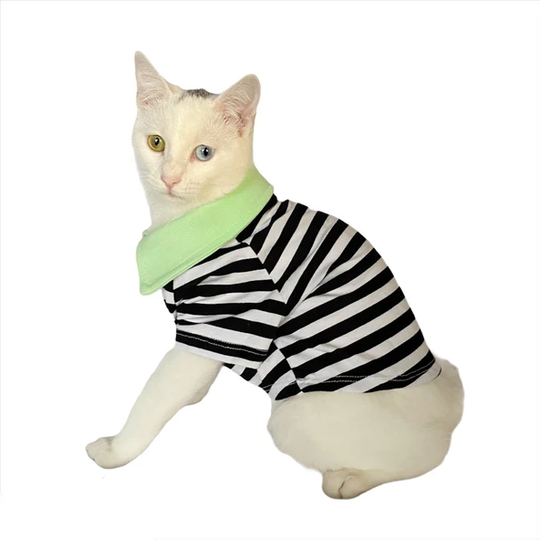 Grass Hopper Stripe Polo Yaka Tişört Kedi Kıyafeti  Kedi Elbisesi - 3